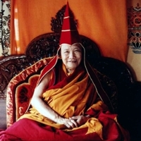 Budismo como Prática na Vida Cotidiana – Trulshik Rinpoche
